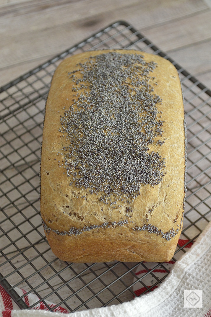 Pan de Molde con Harina Tritordeum