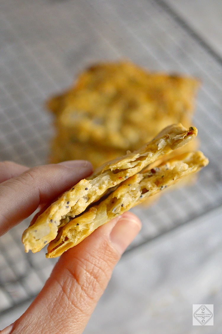 Crackers de Cebolla y Semillas